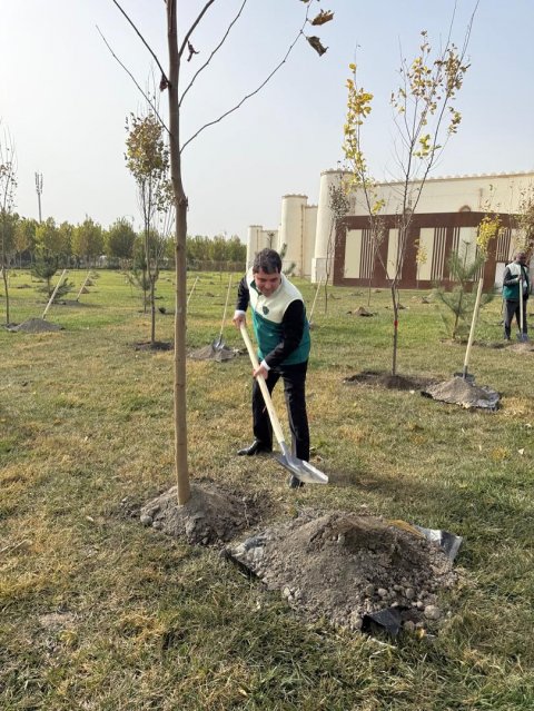 Туркменская делегация приняла участие в международной акции по озеленению