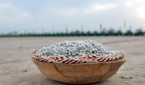 В Туркменистане началась посевная кампания хлопчатника