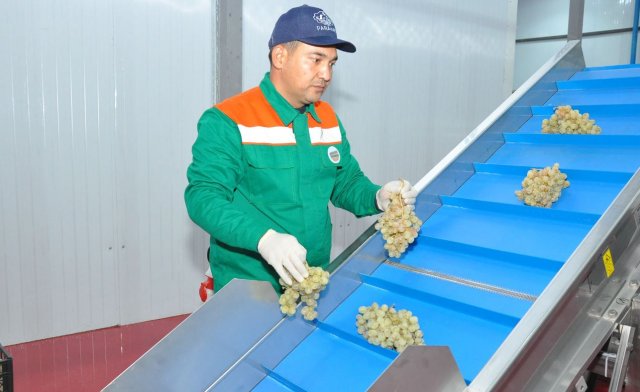 В Туркменистане открылось предприятие по производству вина