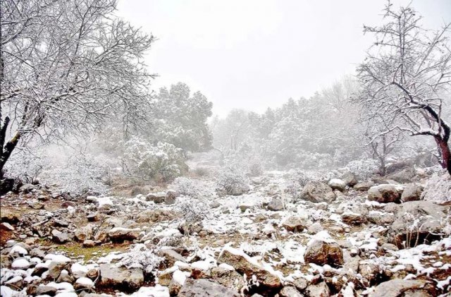 В Туркменистане начался «uly çille» — самый суровый период зимы