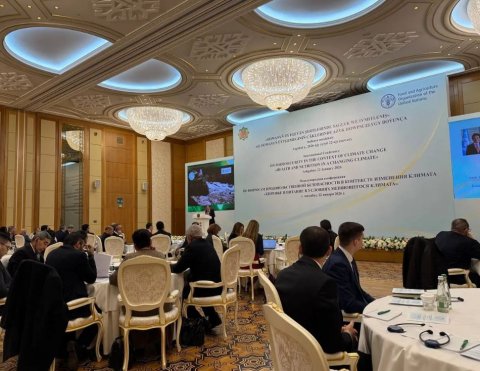 ФАО: Центральная Азия - опора глобальной продовольственной безопасности