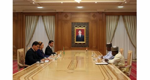 В Туркменистане приняты верительные грамоты нового посла Республики Нигер