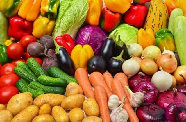 Аграрии Дашогузского велаята завершили весеннюю посадку овощей