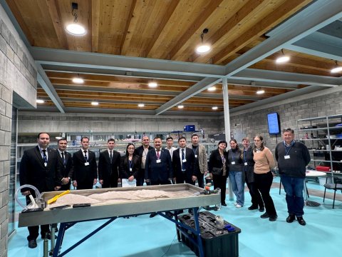 Преподаватели туркменской Академии коневодства участвовали в семинаре Erasmus+