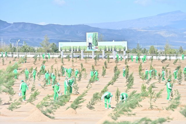 Свыше 611 тысяч саженцев: Туркменистан провёл всенародный день озеленения