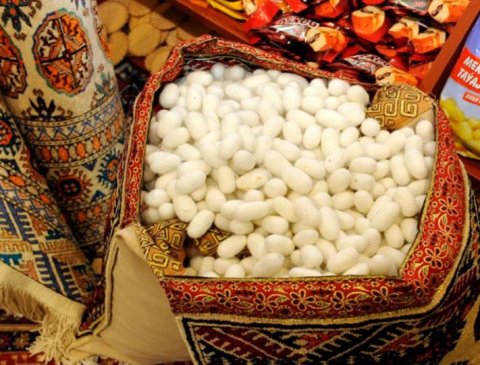 В Дашогузе готовят 70 инкубаторов к весеннему сезону шелководства