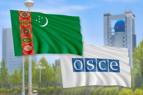 Туркменистан и ОБСЕ утвердили план партнёрства на 2026 год 