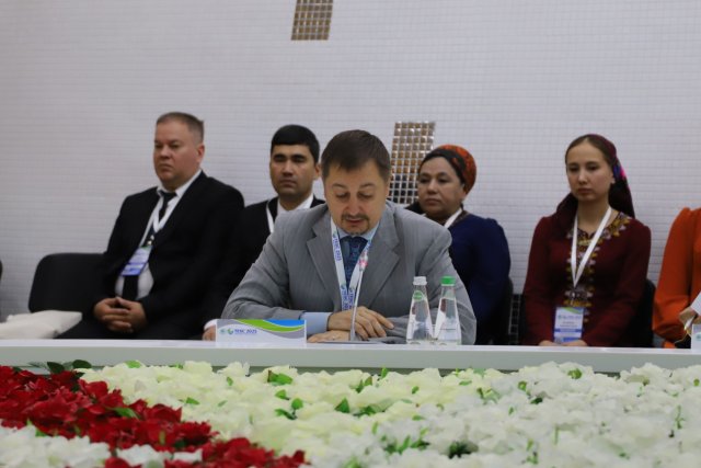ООН выделила $250 000 на запуск программы перехода Туркменистана к «зеленой» энергетике