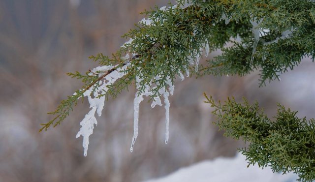 В Туркменистане начался традиционный период «гарагыш» — «чёрная зима»