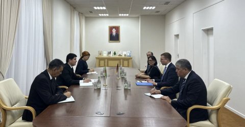 Меджлис Туркменистана обсудил экодипломатию с фондом Аденауэра