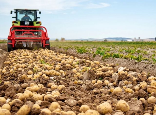 Туркменские аграрии Балкана завершили посевную на 1600 гектарах