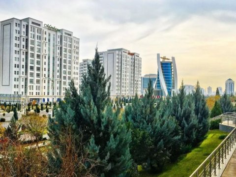 В Туркменистане ожидаются температурные рекорды — до +39 градусов