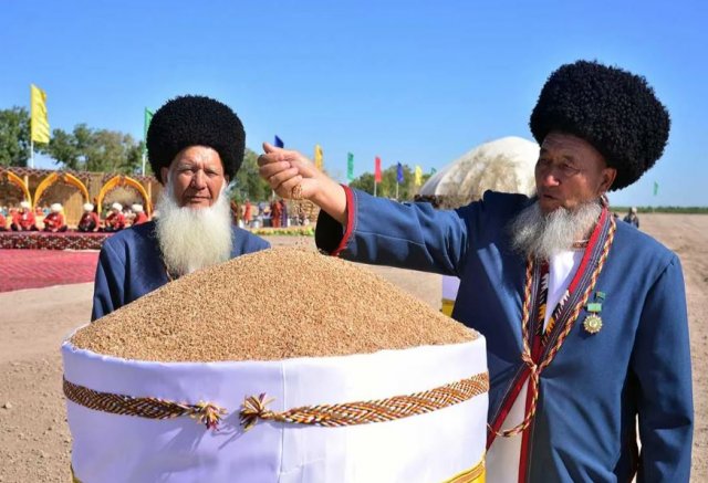 Хлеборобы Туркменистана сдали государству свыше 1,4 миллиона тонн пшеницы