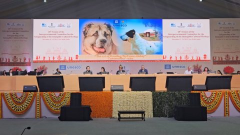 ЮНЕСКО включило разведение туркменского алабая в репрезентативный список