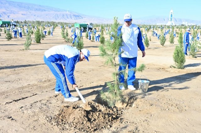 В Туркменистане в рамках всенародной акции высажено более 449 тысяч деревьев